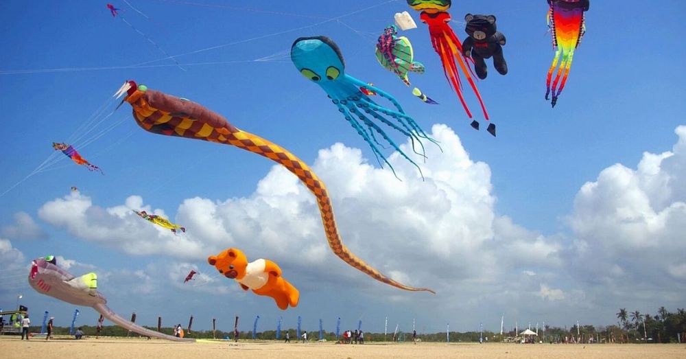 kite-flying kite-flying