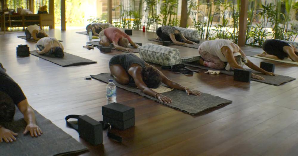 credit:-www.koashala.com