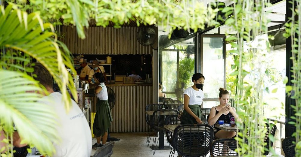 the-avocado-factory the-avocado-factory