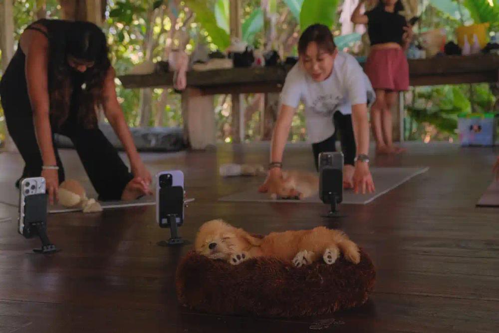 credit:-google-maps---happy-puppy-yoga-bali---canggu