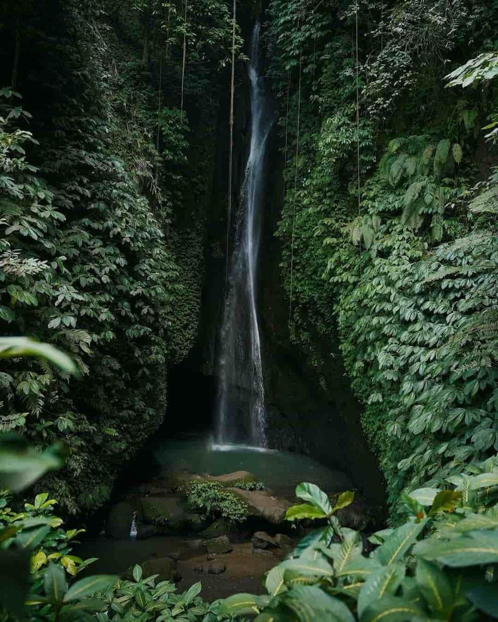 credit:-instagram-@baliluxuryvilla_ credit:-instagram-@baliluxuryvilla_