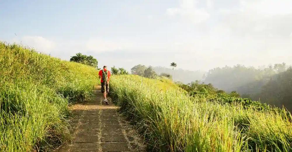 campuhan-ridge-walk
