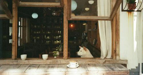blog image