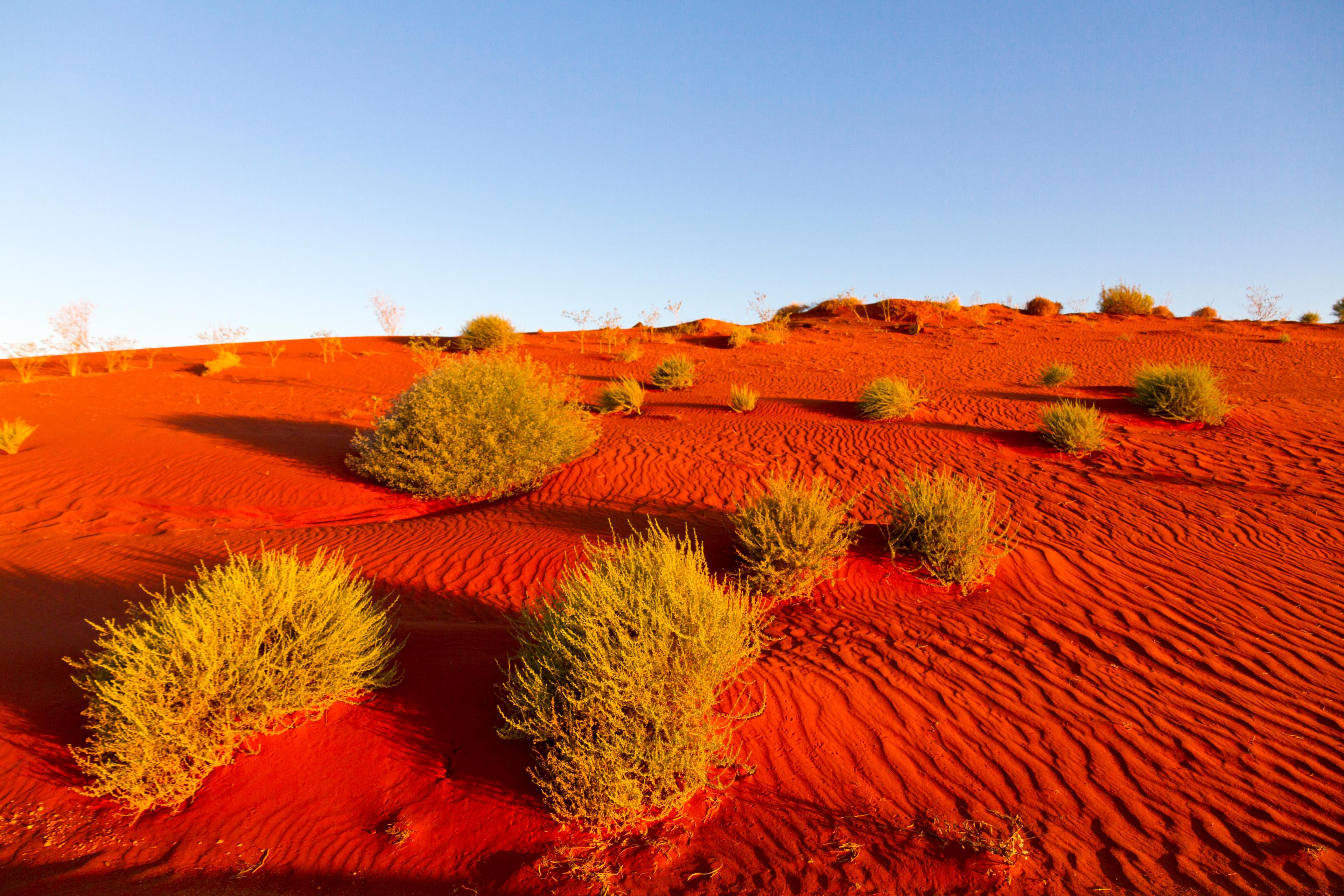 Landscape view of mines with red/blue skyline