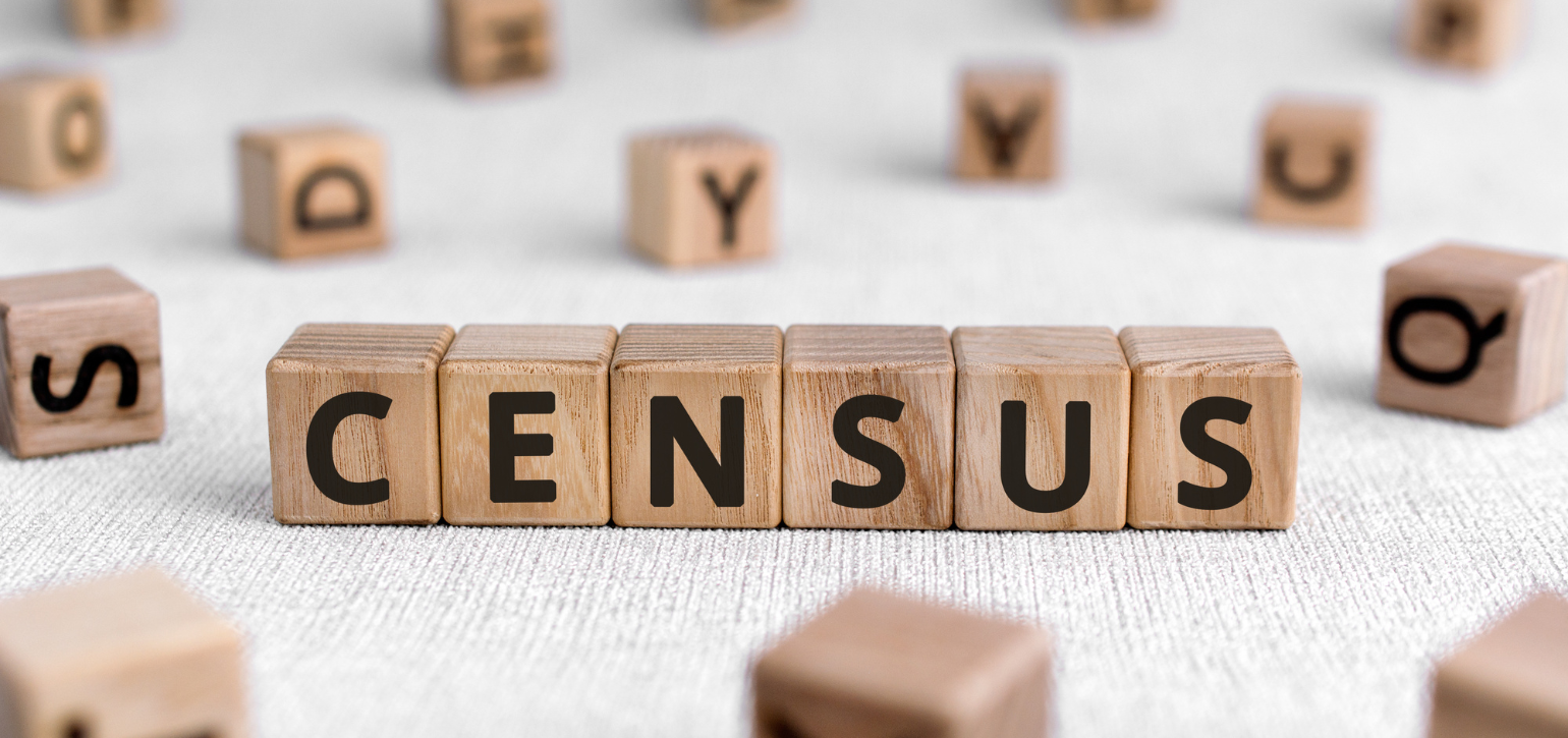 wooden letters spelling out census