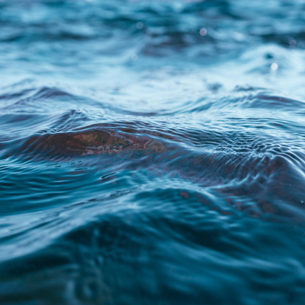 Water