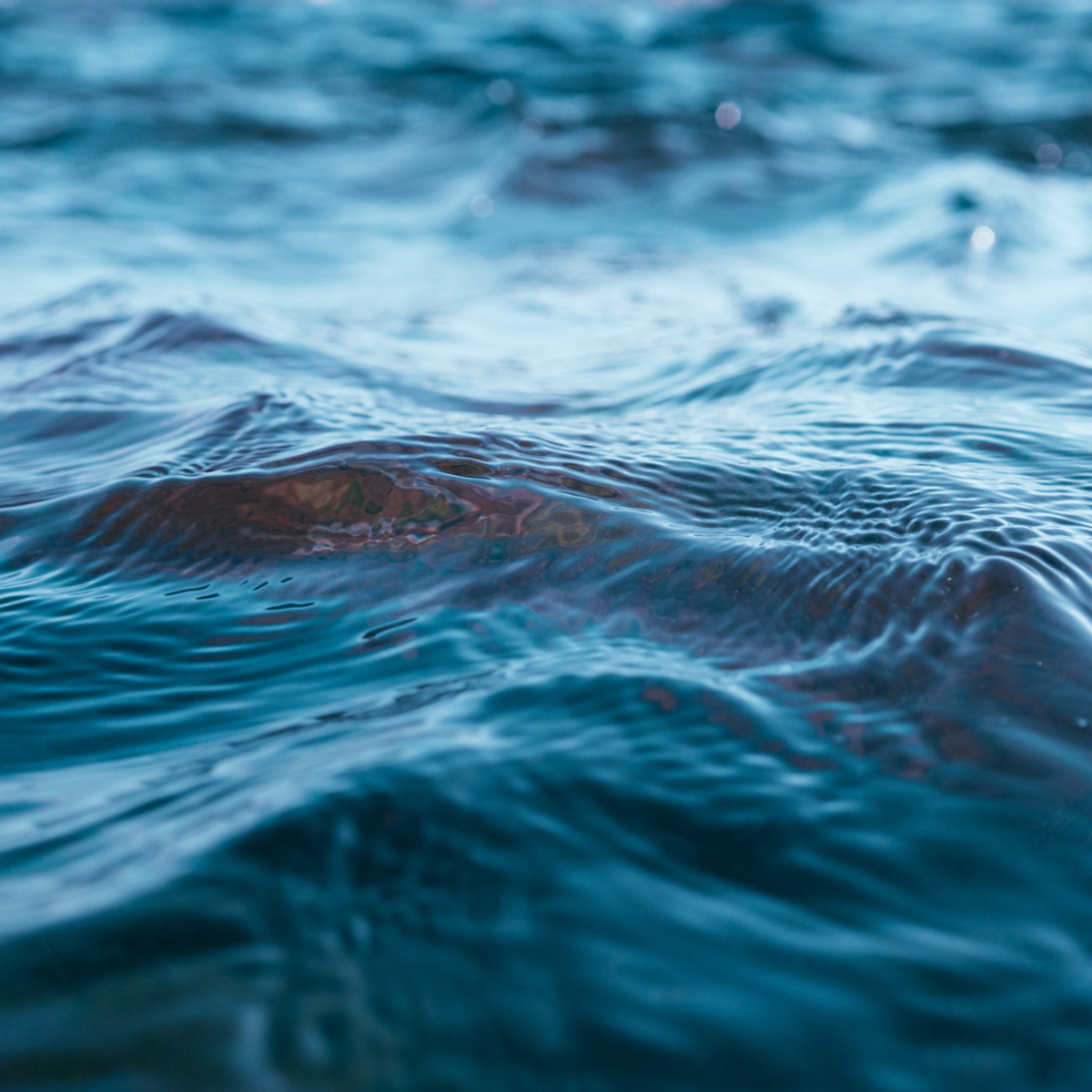 Water