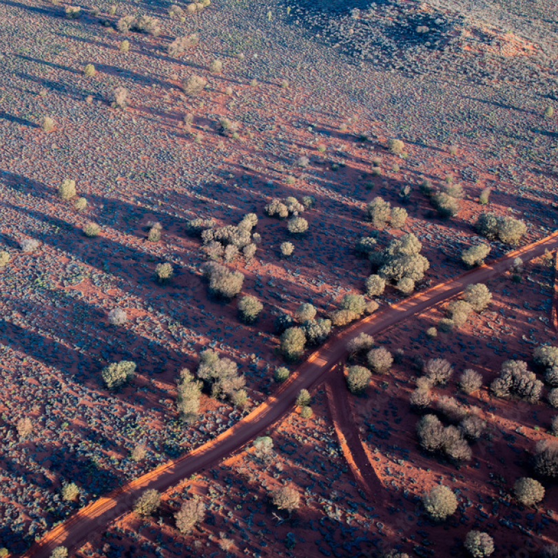 Northern Territory 