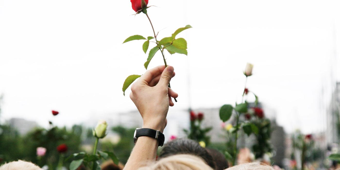 Hand with wristwatch holding rose in the air. In the background more flowers against the sky. Several heads are visible.
