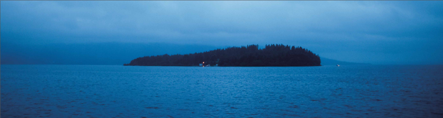 Nattbilde i blåtoner av en liten øy med trær.