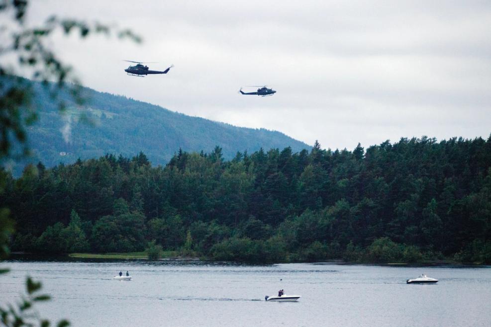 Leaves in the foreground, water in front of the silhouette of an island. Ridge formation in the background. Three boats with people. Two helicopters in the air. Gray sky