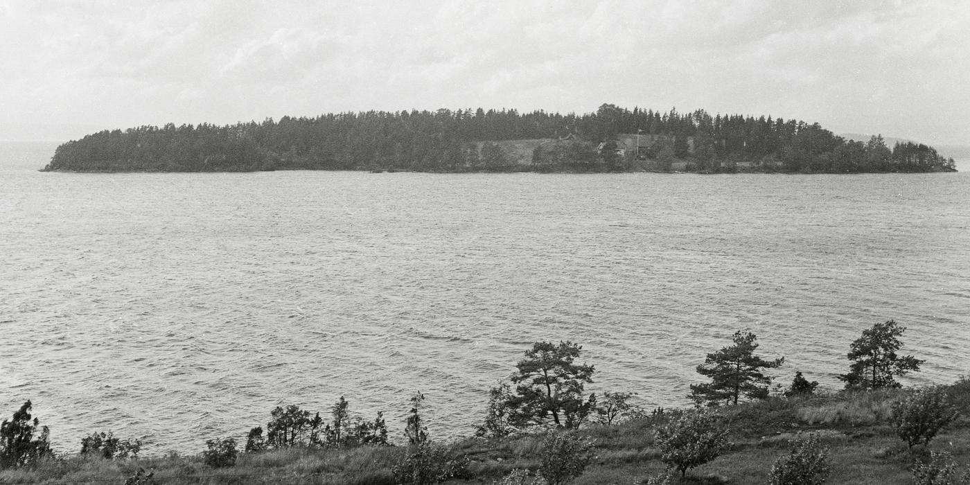 Fotografi i svart-hvitt av tretett øy med noe bebyggelse i stille vann. I forgrunnen busker og trær.  