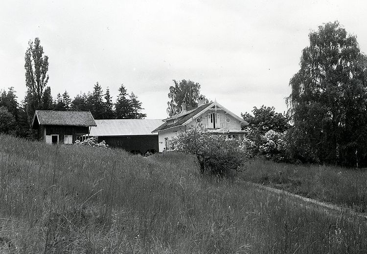 Black and white photo of three wooden houses on a slope with some trees and underwood.