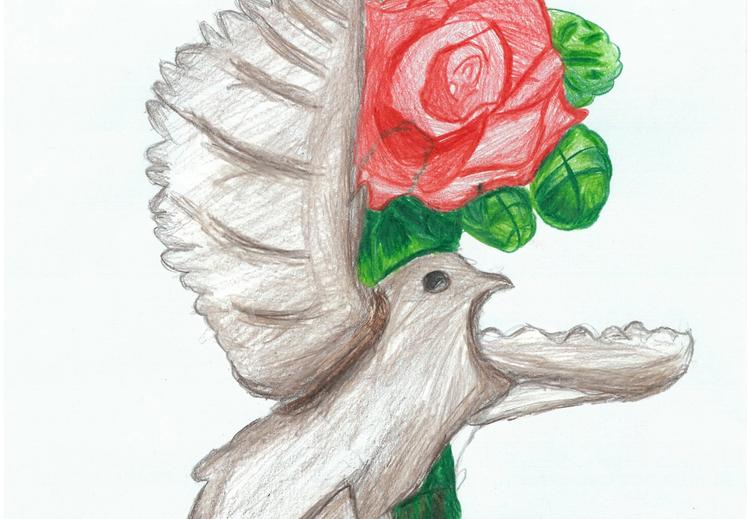 Tegning av en due med en rose. Tekst Vi skal aldri glemme. Benedicte 11 år. 