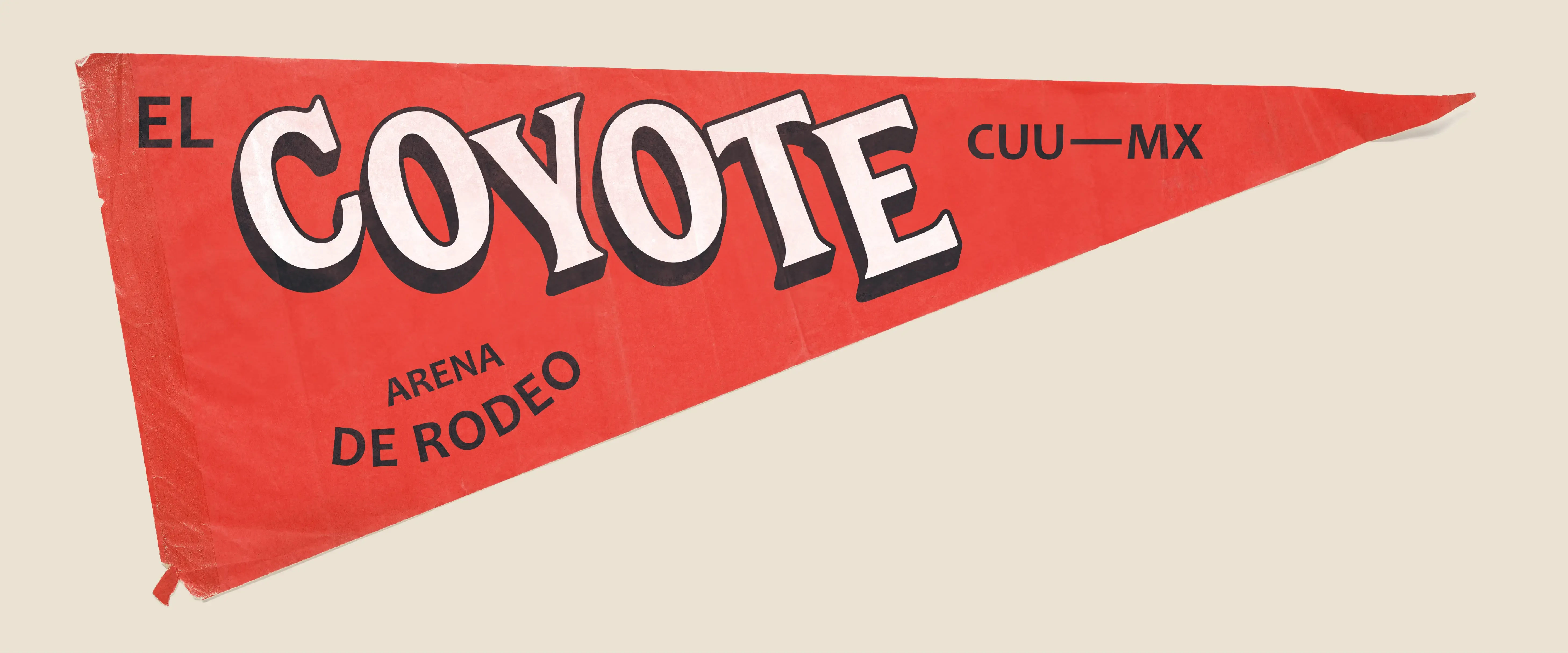 Coyote - Image 7