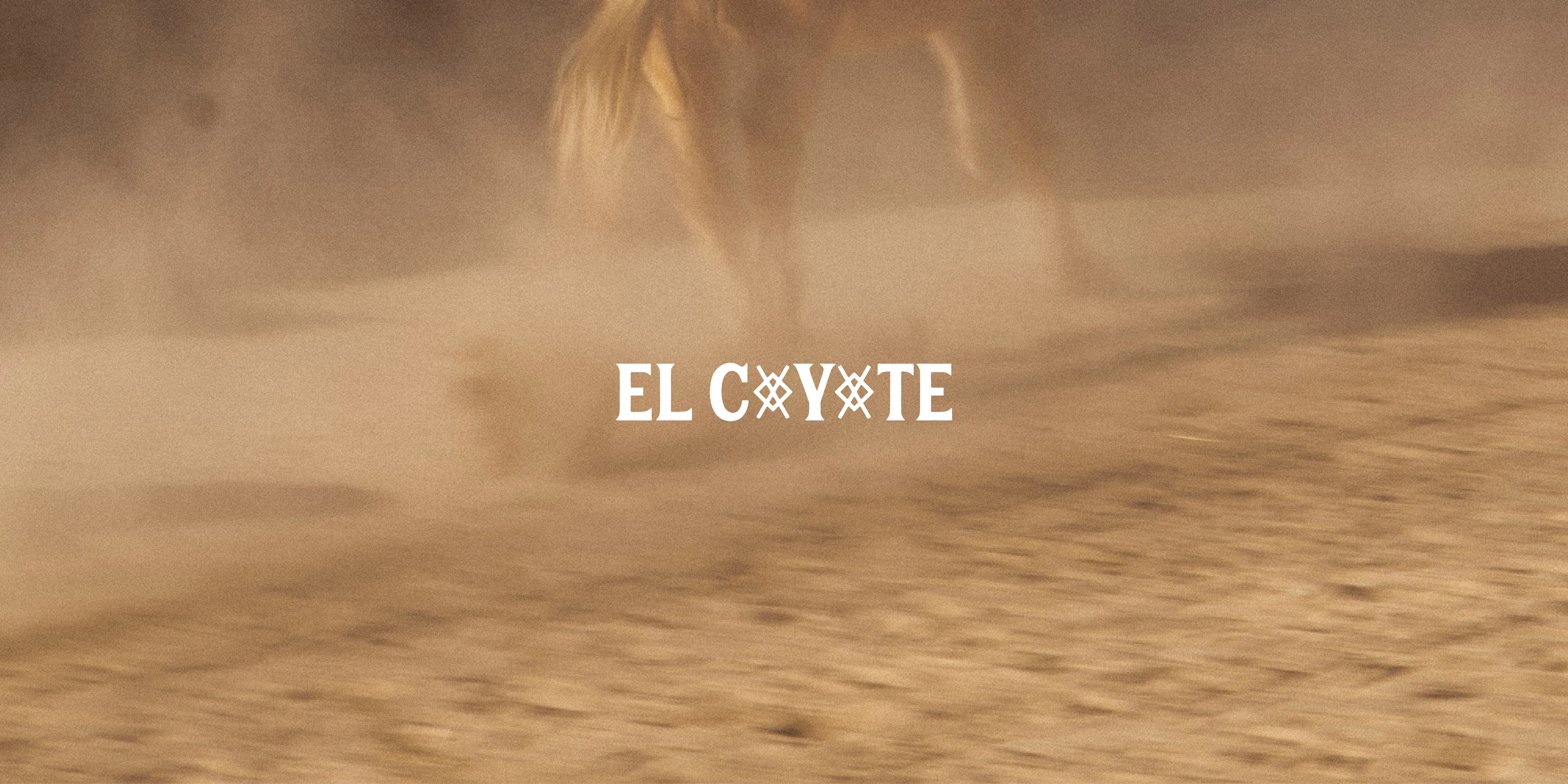 Coyote - Image 2