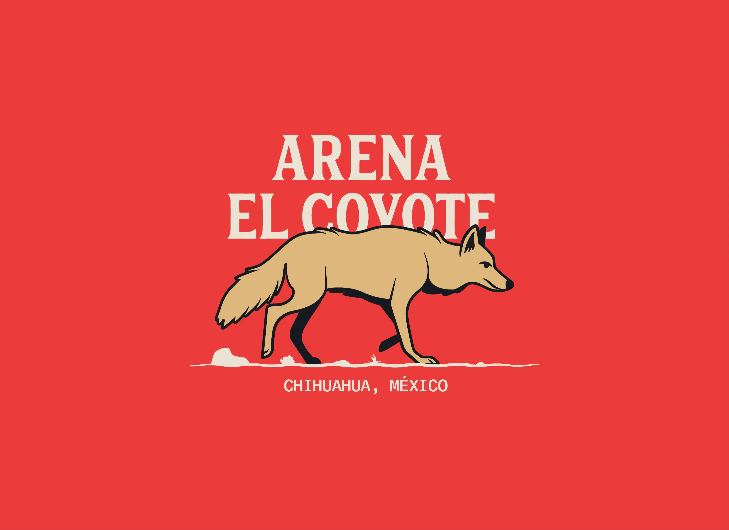 Coyote - Image 9