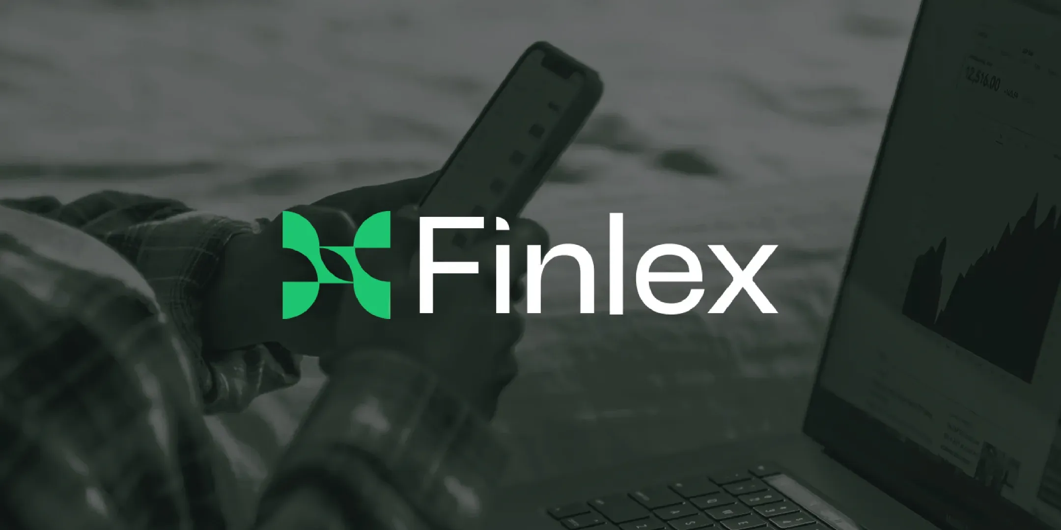 Finlex - Image 2