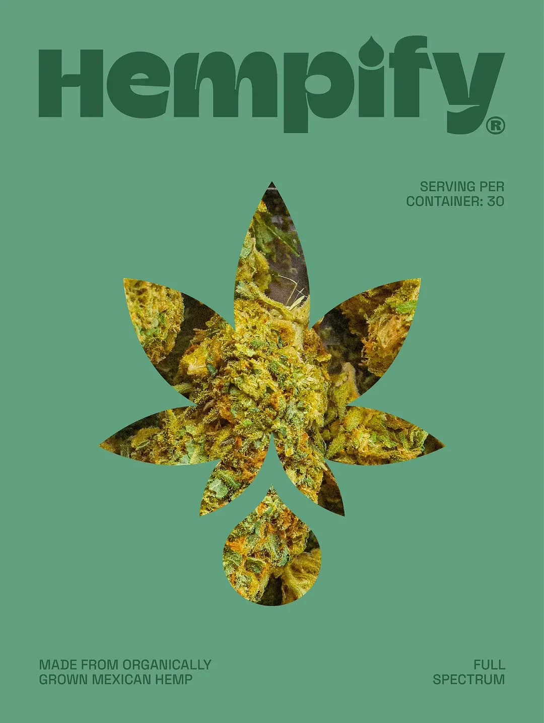 Hempify - Image 7