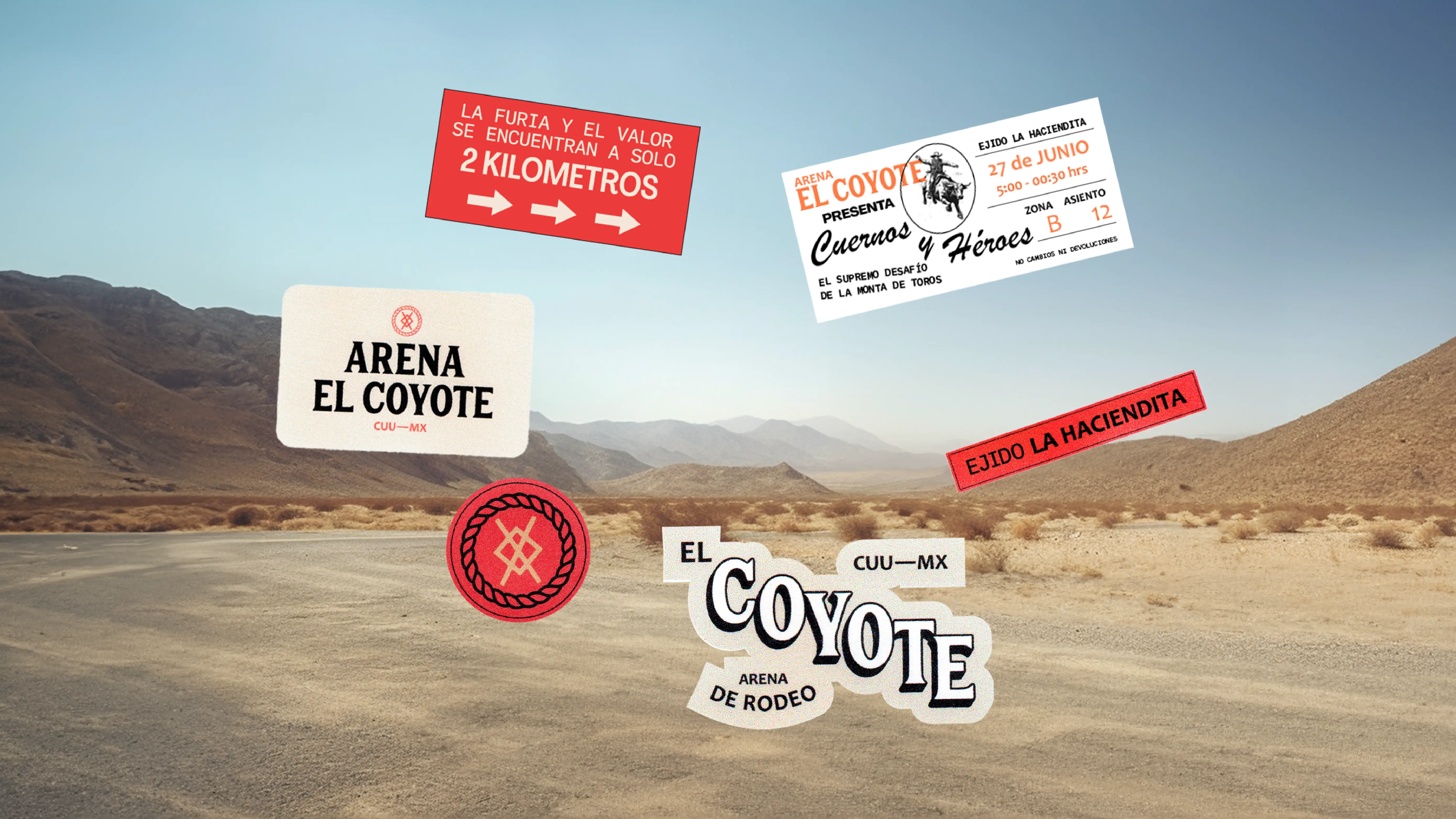 Coyote - Image 8