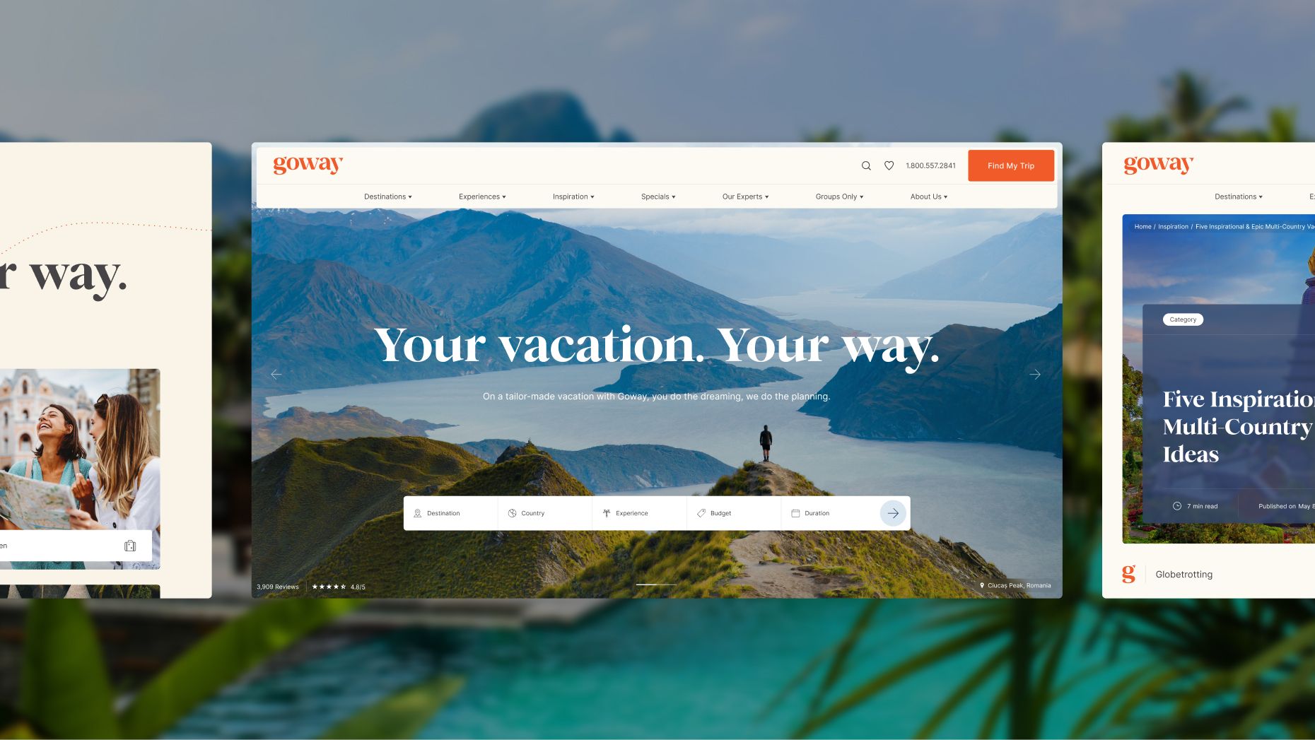 Various Goway website screenshots