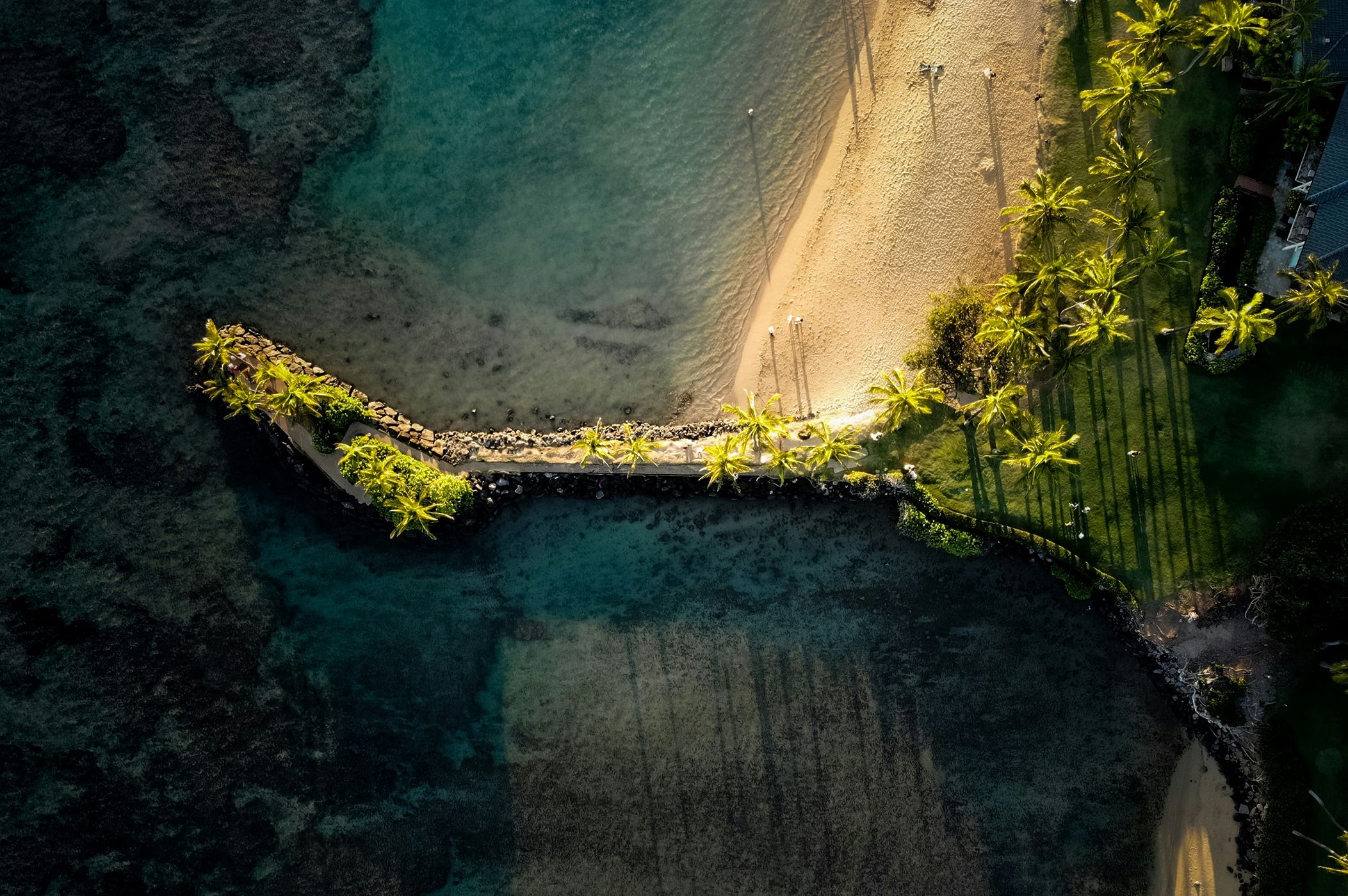 Aerial view of a palm-tree-lined breakwater separating a sandy beach from darker ocean water.