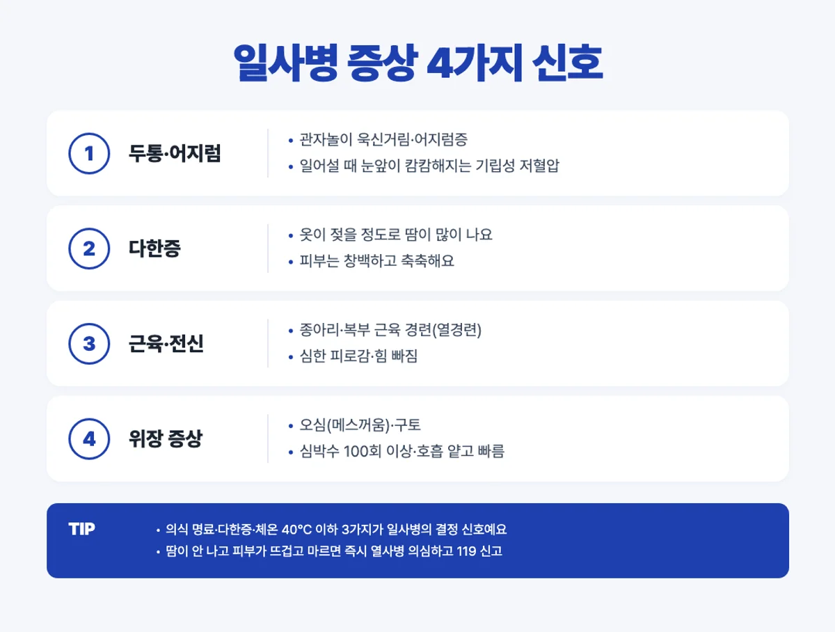 일사병 증상 4가지 인포그래픽 - 두통·다한증·근육경련·오심구토