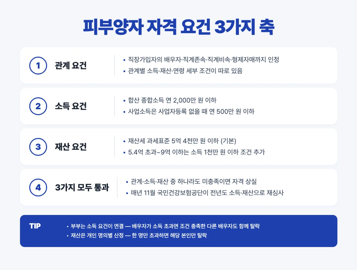 건강보험 피부양자 자격 요건 3축 인포그래픽 - 관계 소득 재산