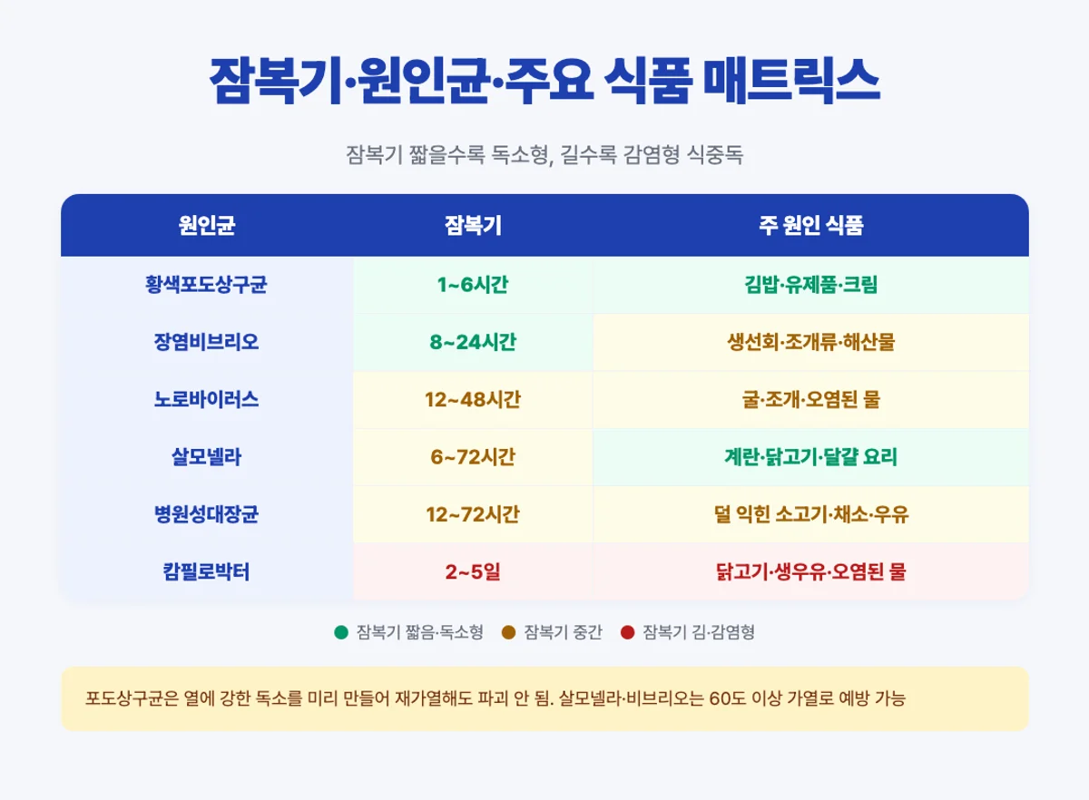 식중독 원인균별 잠복기 매트릭스 - 살모넬라 비브리오 노로 포도상 대장균