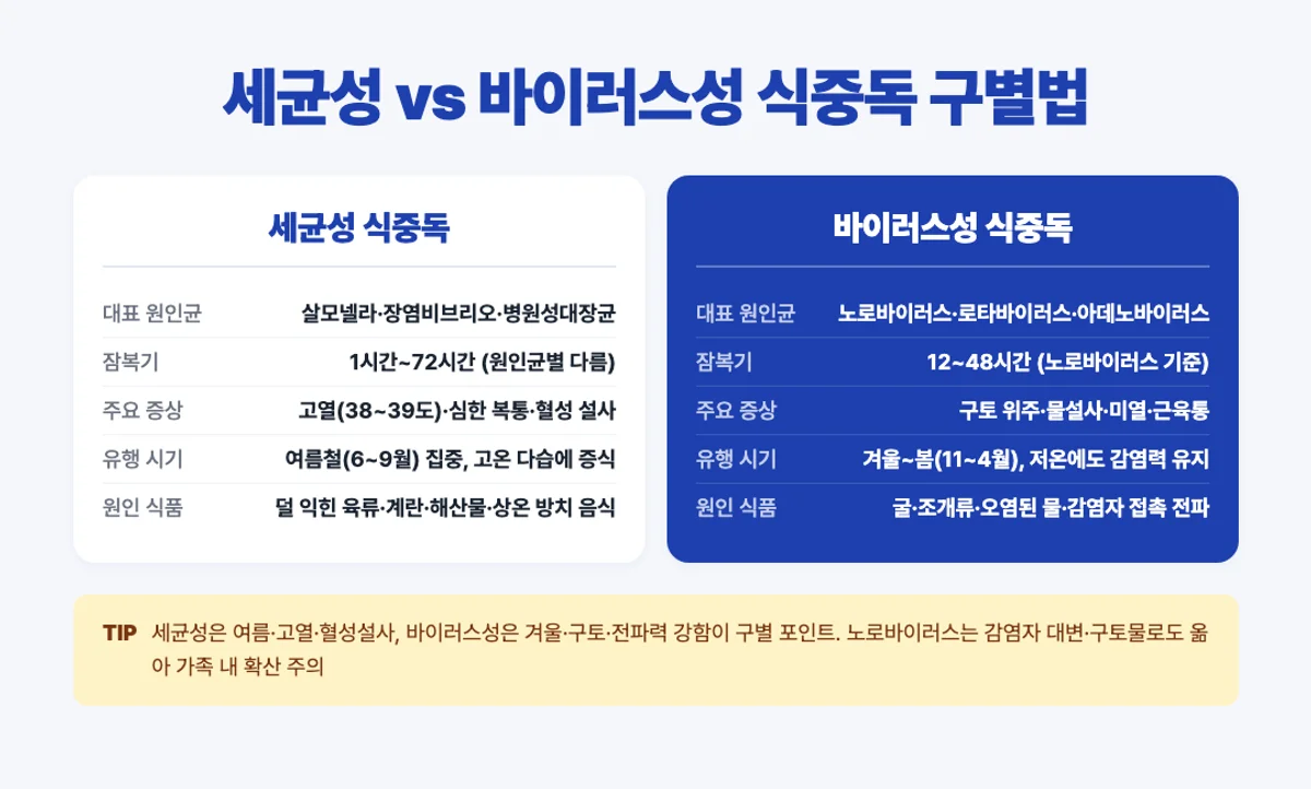 세균성 vs 바이러스성 식중독 비교 인포그래픽