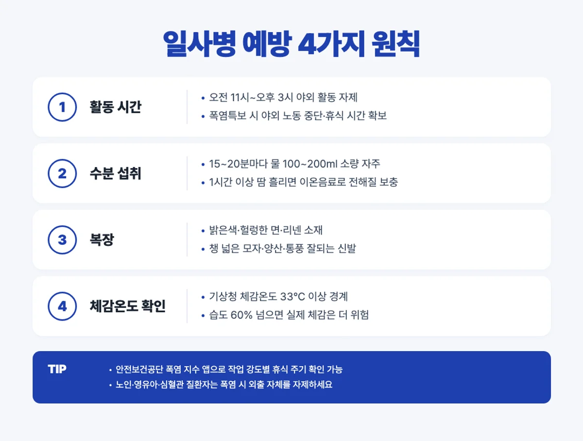 일사병 예방 4가지 인포그래픽 - 활동시간·수분·복장·체감온도
