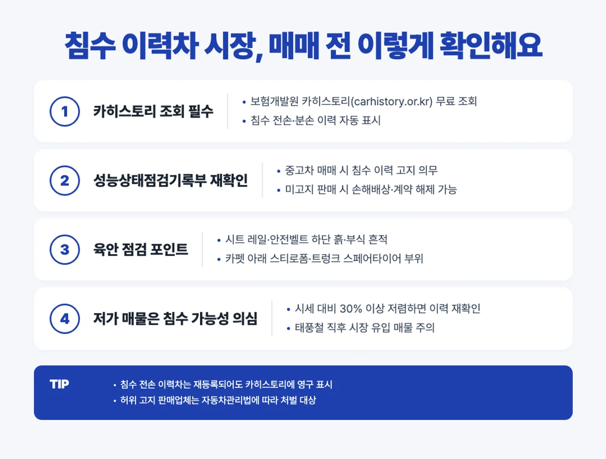 침수 이력차 시장 확인법 인포그래픽 - 카히스토리·성능상태점검기록부·육안 점검