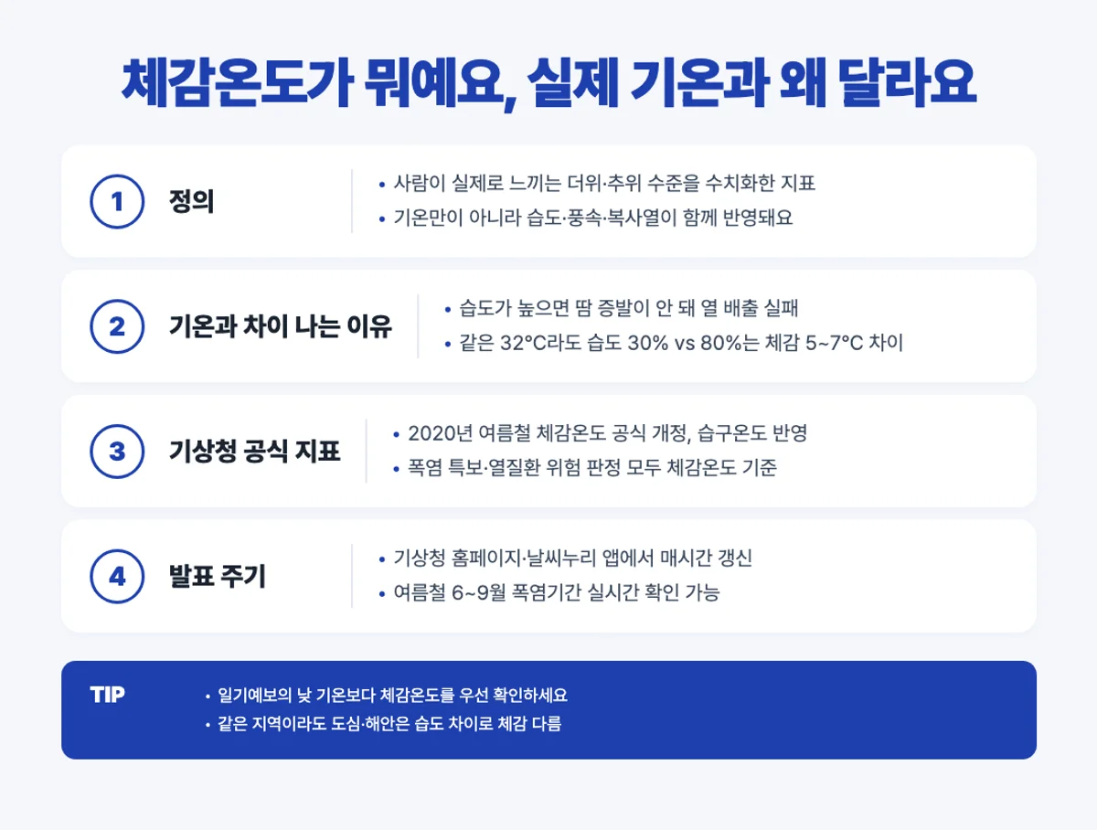 체감온도 정의와 기온 차이 인포그래픽 - 습도 풍속 반영 기상청 지표