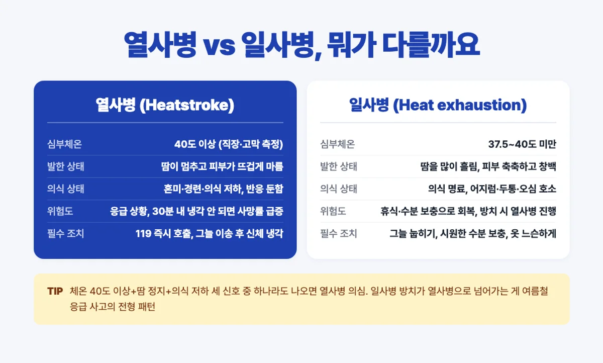 열사병 vs 일사병 비교 인포그래픽 - 심부체온 발한 의식 상태