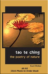 Tao te ching the poetry of nature by kari hohne book cover