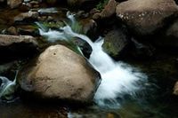 water brook with stones