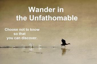 Duck walking on lake with quote about wonder by Kari Hohne