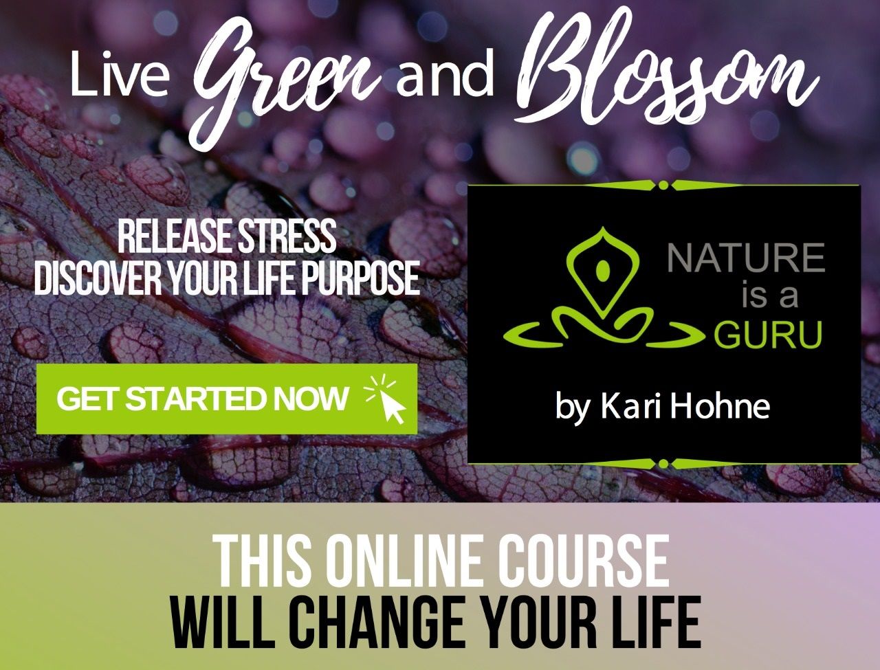 Cafe Au Soul - Nature's Wisdom Author Kari Hohne Offers Inspiration ...