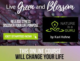 Purple leaves Nature is a Guru online course by Kari Hohne