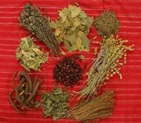 Summer herbs laid out on table