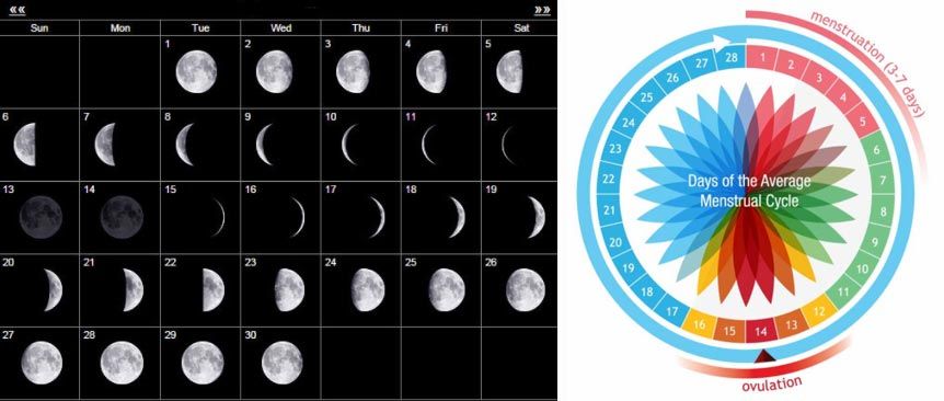 Moon phases exploration poster template. Lunar phases meaning