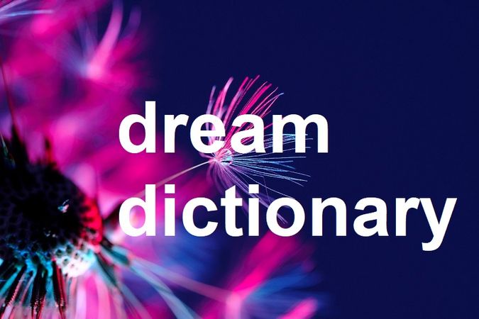 Dream dictionary banner image with colorful dandelion