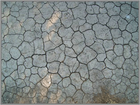 cracked dry earth