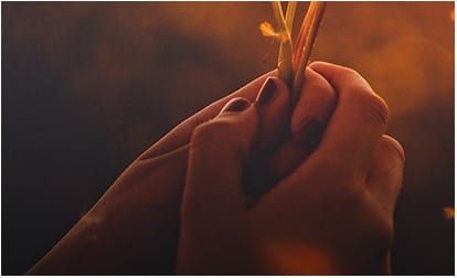 Hand holding dandelion bottom left