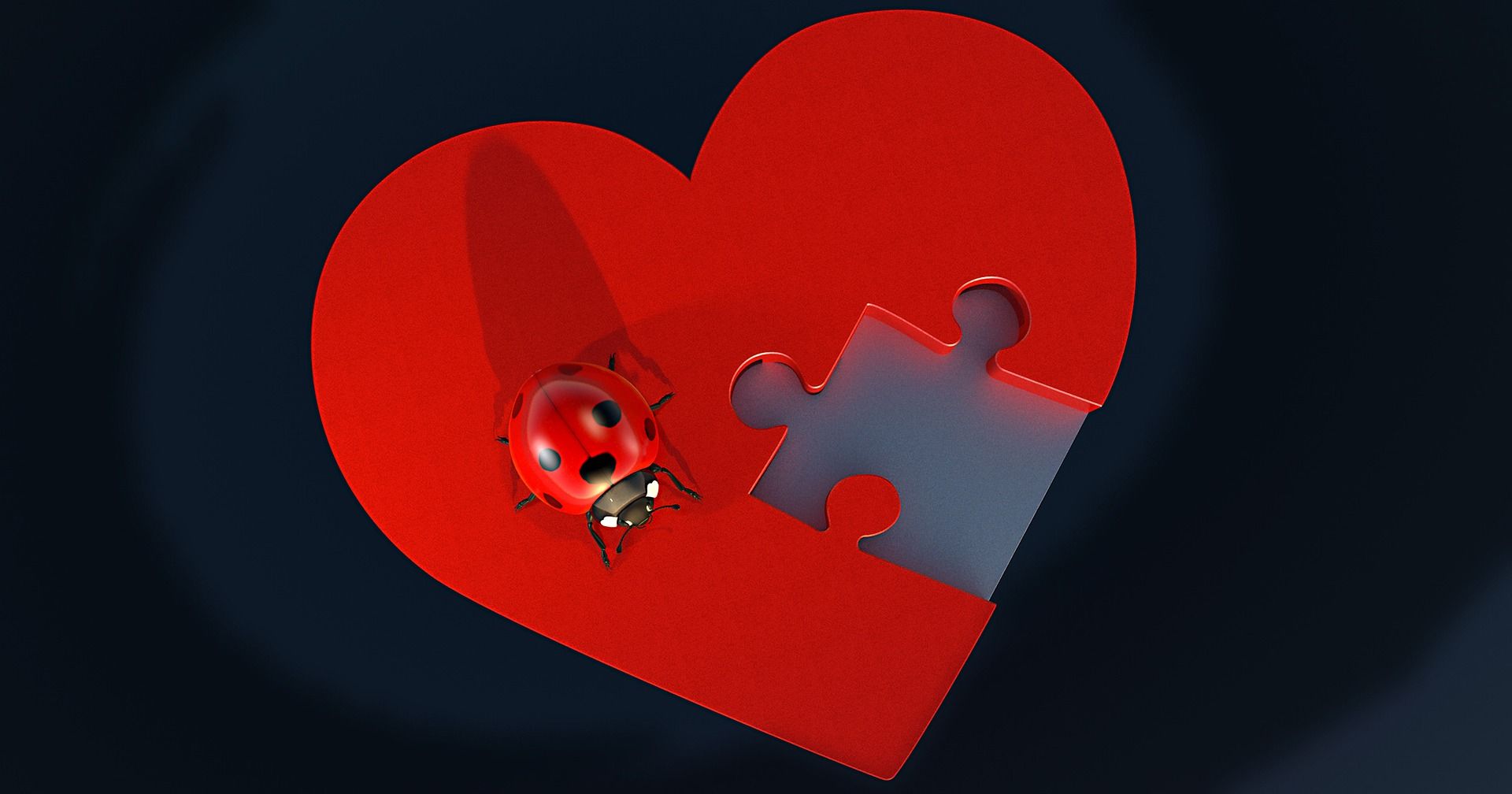 ladybug on a heart puzzle