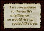sign that reads: if we surrendered to the earth's intelligence, we would rise up rooted like trees