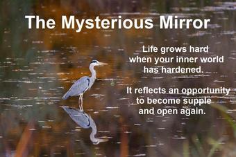 Crane looking at reflection with quote about mysterious mirror by Kari Hohne