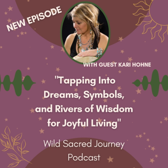 Kari Hohne on Wild Sacred Journey Podcast