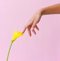 Person touching tulip with finger