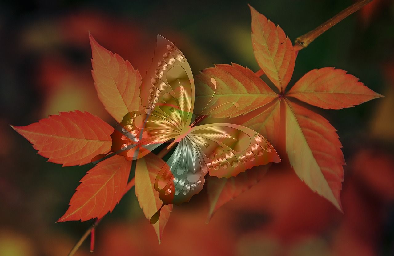 leaves and butterfly